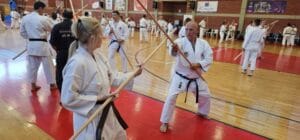 Bo vs Bo Sparring