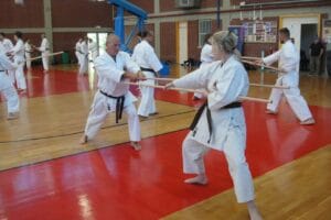 Bo vs Bo Sparring